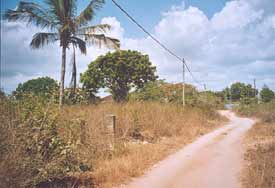 To the left of the road, near the palm trees, lies the site we purchased for the new (current) KiD